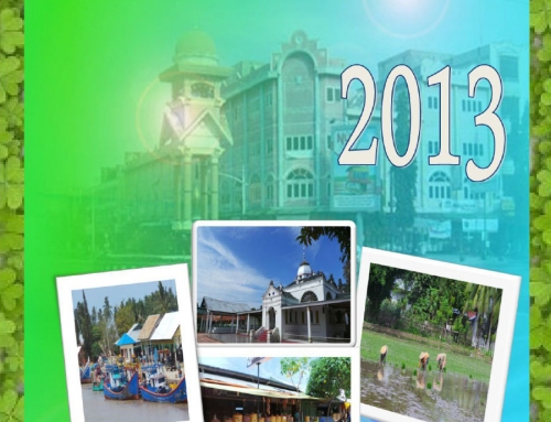 Bireuen Dalam Angka 2013