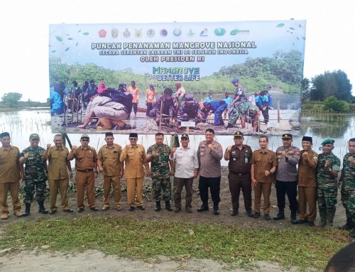 PUNCAK PENANAMAN MANGROVE NASIONAL SERENTAK DI KABUPATEN BIREUEN